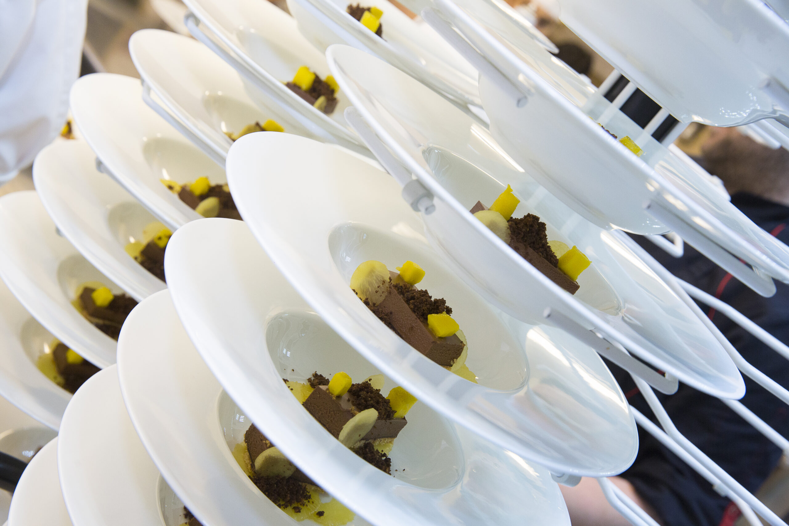 Dining with the Stars 2016 – Milano